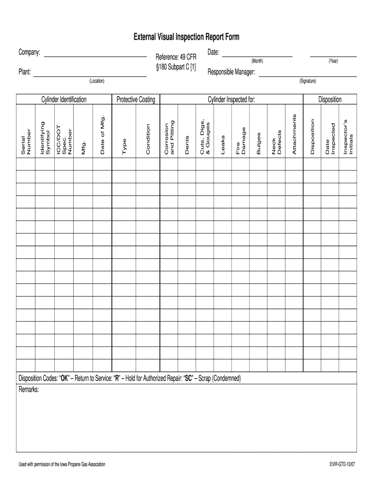  Visual Inspection Report 2007-2024