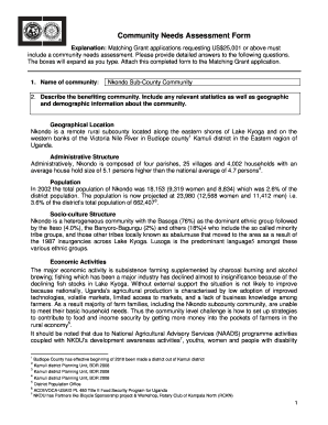 Community Needs Assessment Example  Form