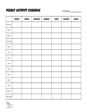 Cci Activity Schedule  Form