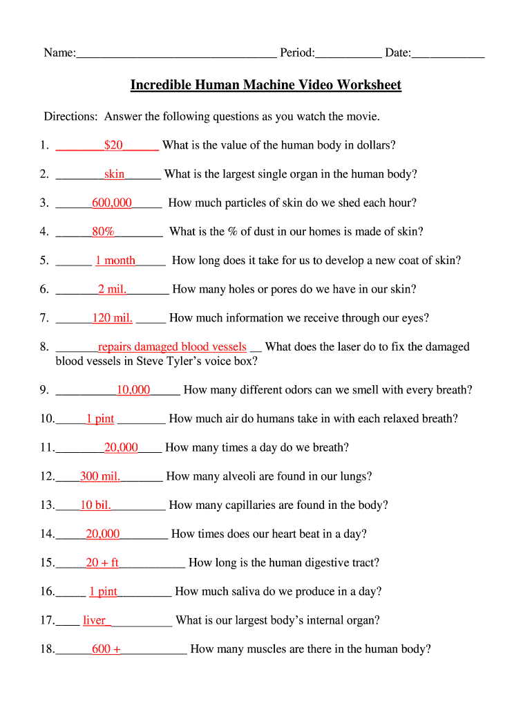 Incredible Human Machine Video Worksheet  Form