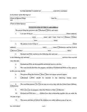 Kansas Divorce Papers PDF  Form