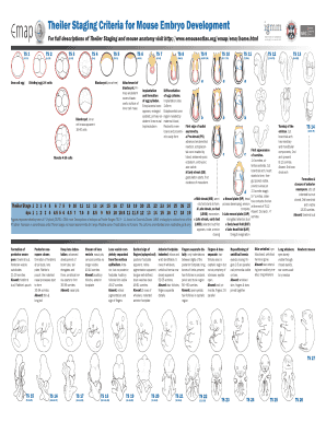 Theiler Staging Criteria for Mouse Embryo Development  Form