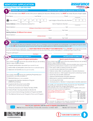 Assurance Wireless Application PDF  Form