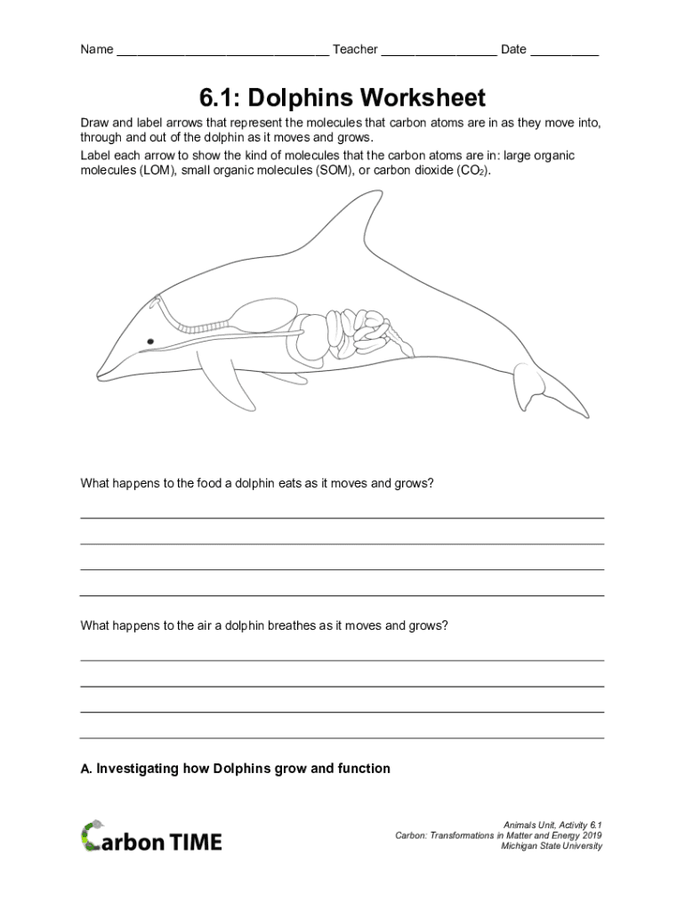 Ag Bio Worksheet PDF NameTeacherDateActivity 6 1  Form