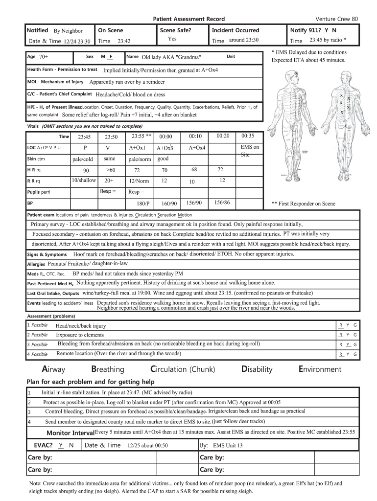 Patient Assessment Examples  Form