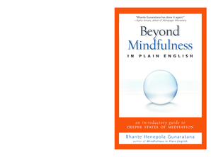 Beyond Mindfulness in Plain English PDF  Form