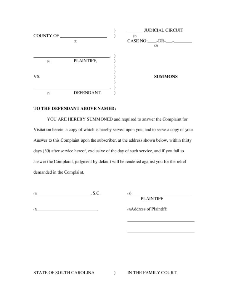  South Carolina Child Visitation Forms 2007-2024