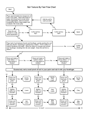 Soil Texture by Feel Flow Chart  Form