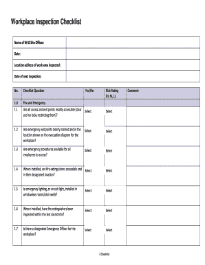 Workplace Action Plan  Form