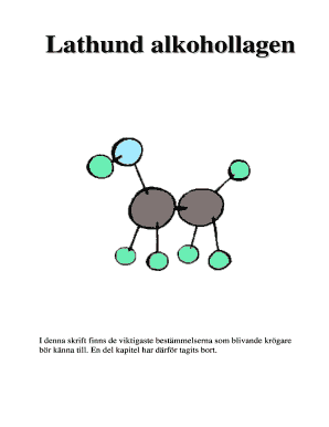 Alkohollagen Lathund  Form