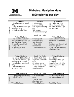 30 Day Diabetic Meal Plan PDF  Form