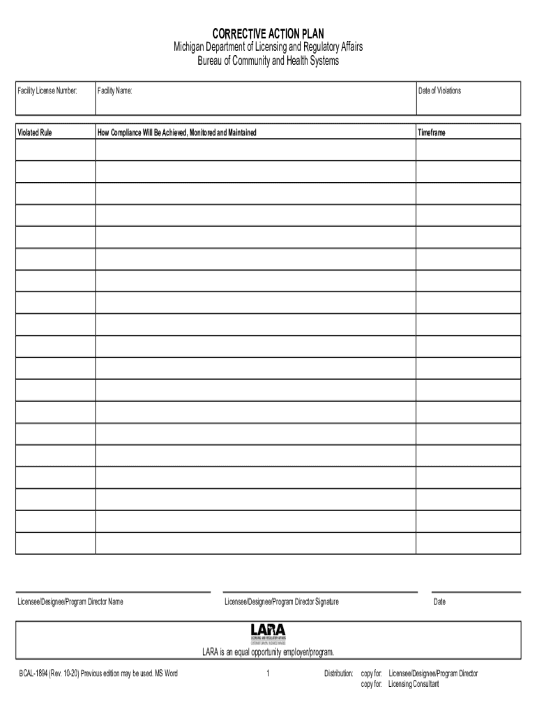  CORRECTIVE ACTION PLAN Michigan Department of Licensing 2020-2024