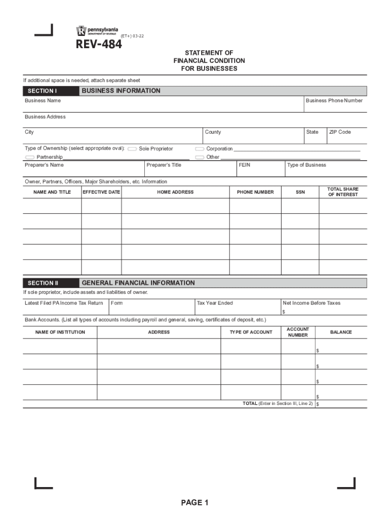 Statement of Financial Condition for Businesses REV 484 FormsPublications