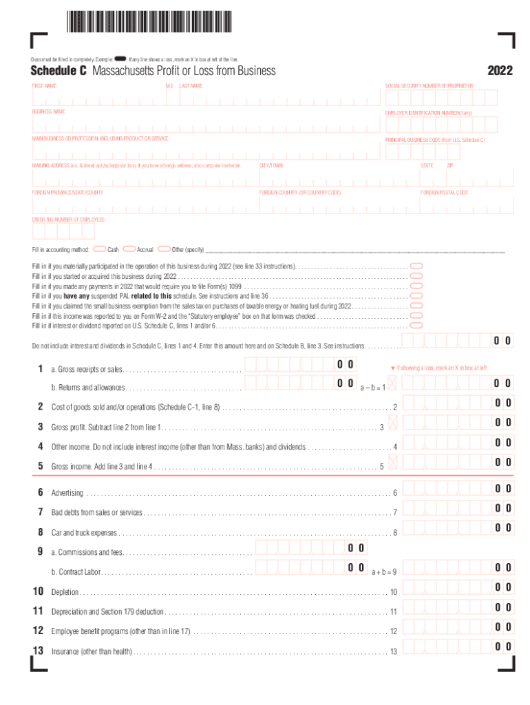  Preview Business Profit and Loss Form AllBusinessTemplates Com 2022