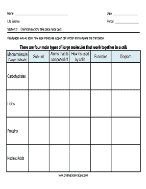 Macromolecules Chart  Form