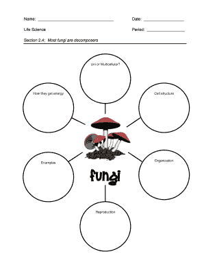 Fungi Graphic Organizer  Form