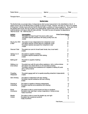 Barthel Index Scoring Interpretation  Form