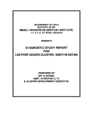 Diagnostic Study Report for Leather Goods Cluster Ediindia  Form