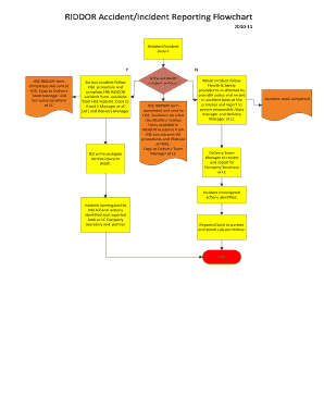 Riddor Reporting Flow Chart  Form
