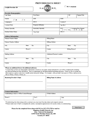 PROVIDER DATA SHEET Sagamore Health Network Inc  Form