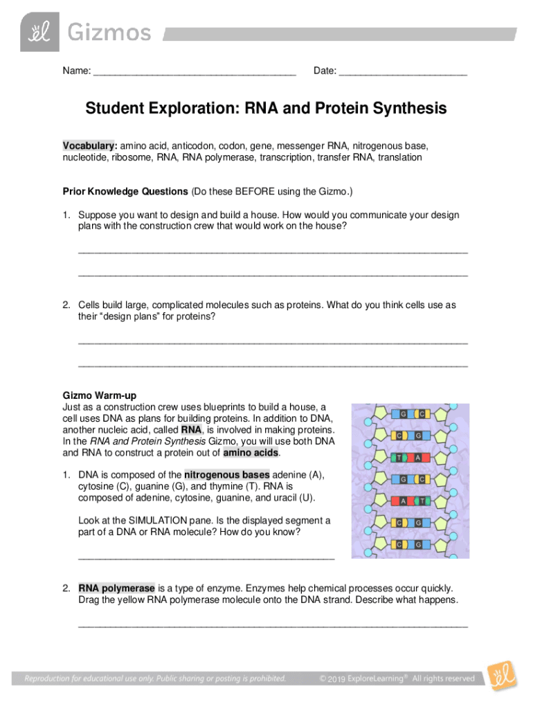 Student Exploration RNA and Protein Synthesis Directions 2019-2024