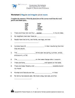 Irregular Plural Nouns Exercises PDF  Form