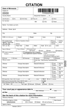 Standard Citation Page 1 Mncourts  Form