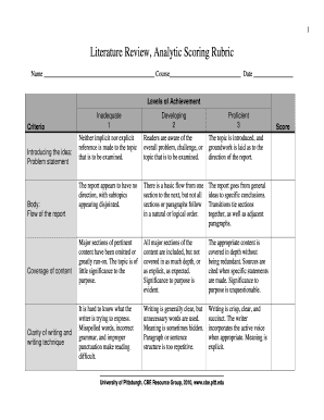 Literature Review Analytic Scoring Rubric Icre Pitt  Form