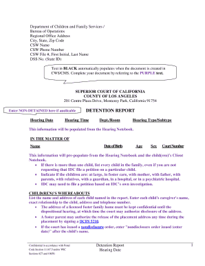 Dcfs Detention Court Report Samole Form