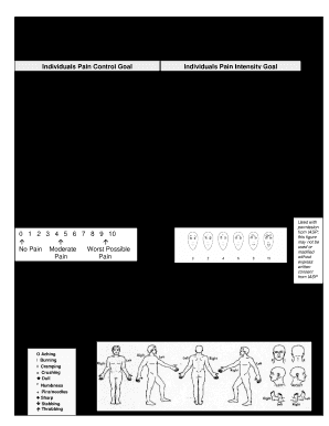  Pain Assessment 2013-2024