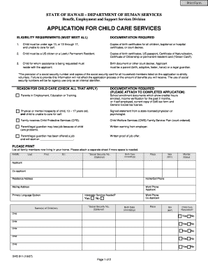 Application for Child Care Services DHS 911 Version  Form