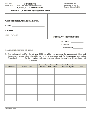 Affidavit of Annual Assessment Work  Form