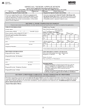 Special Needs Application Form