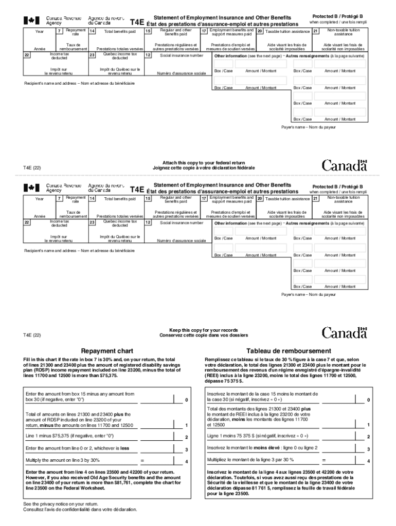 Statement of Employment Insurance and Other Benefits  Form