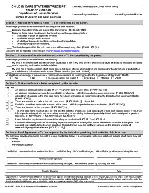 Child in Care Statement  Form