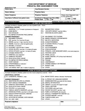 Prenatal Risk Assessment Form