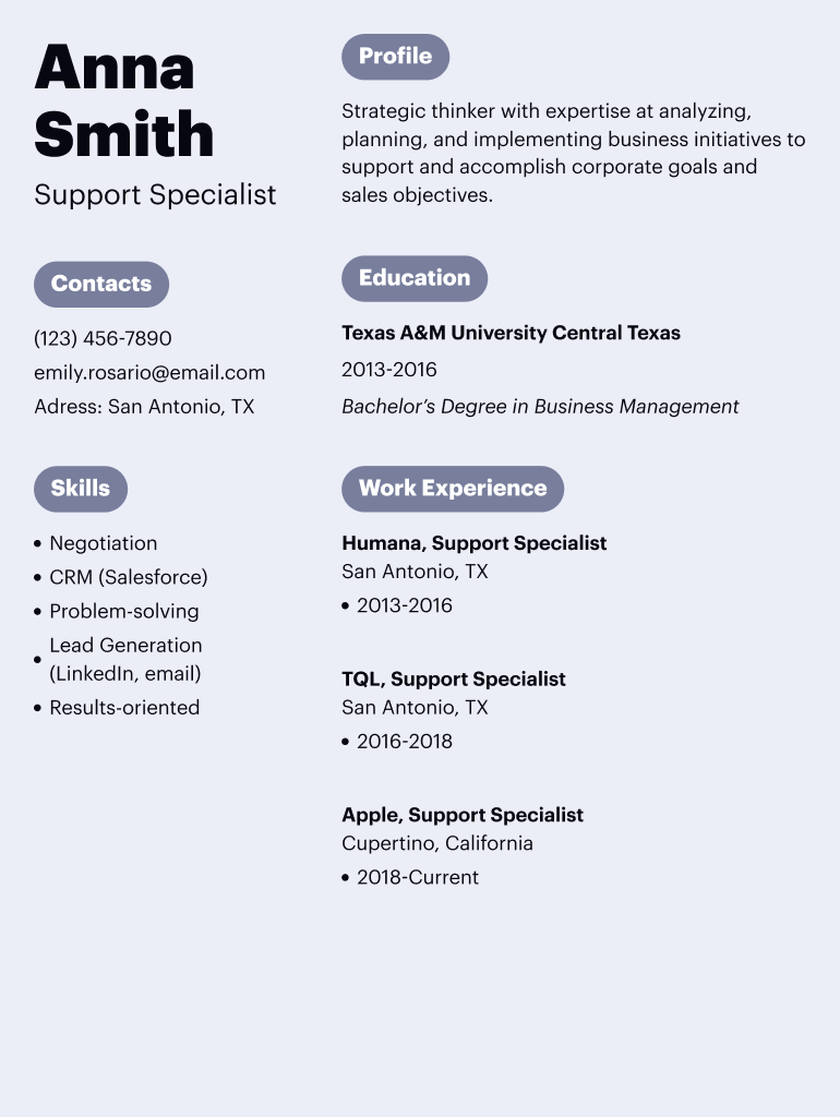 Application Manager Resume Template  Form