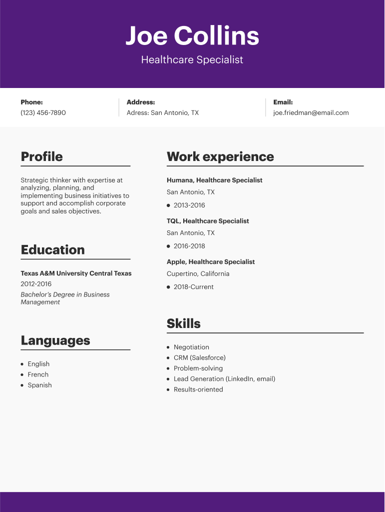 Artist Manager Resume Template  Form