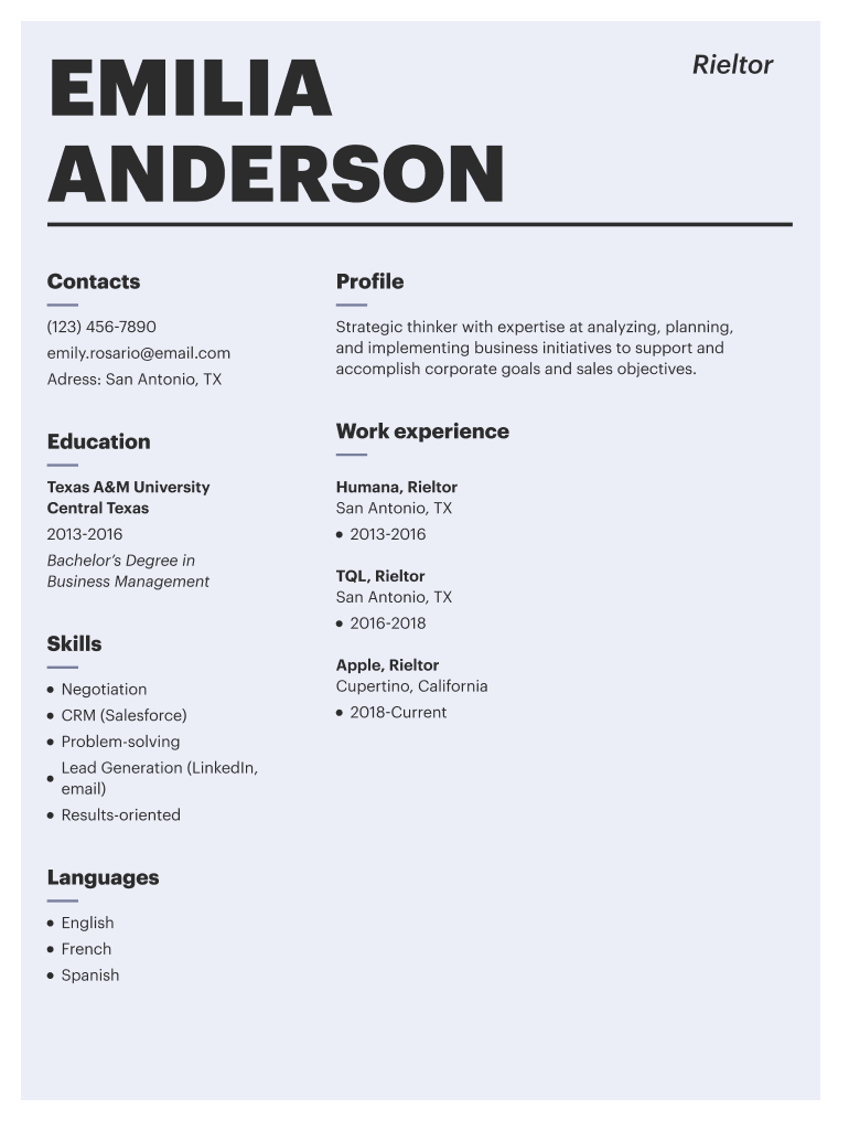 Engineer Manager Resume Template  Form