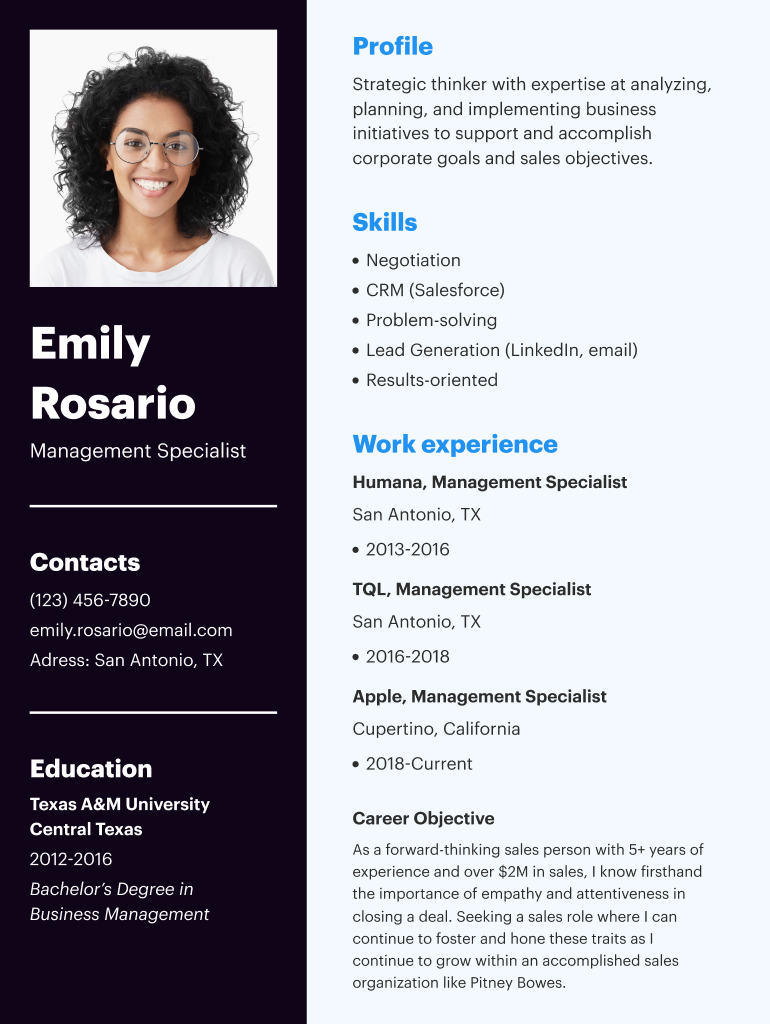 Cleaning Resume Template  Form