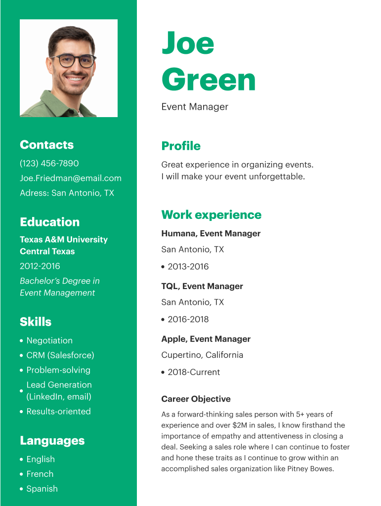Business Consultant Resume Template  Form