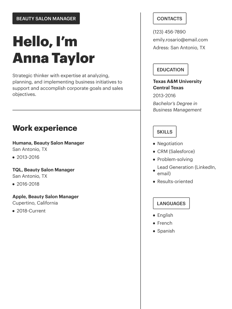 Division Manager Resume Template  Form