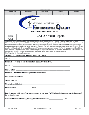 Mt Cafo Ar2 Reporting  Form
