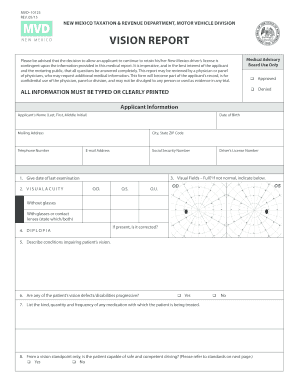 Nm Mvd Vision Report  Form