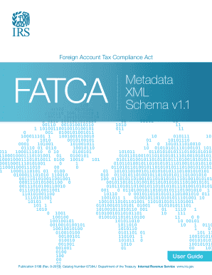 Get and Sign Publication 5188 Rev 08 FATCA Metadata XML Schema User Guide Irs 2020 Form