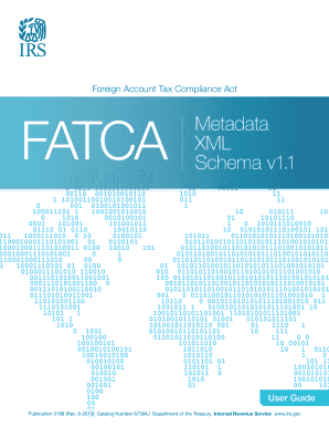  Publication 5188 Rev 08 FATCA Metadata XML Schema User Guide Irs 2020