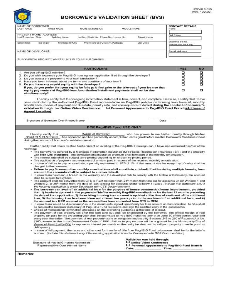 Borrower S Validation Sheet BVS Form