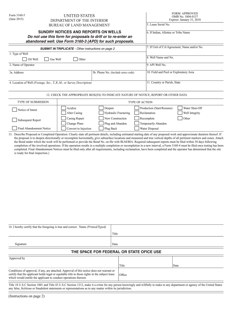  Form 3160 2015-2024