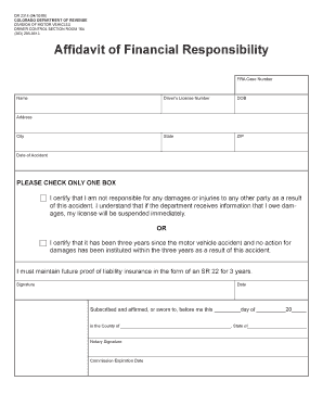  Affidavit of Financial Responsibility 2009