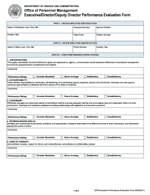 Evaluation Form for Director